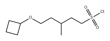 1-Pentanesulfonyl chloride, 5-(cyclobutyloxy)-3-methyl- Structure