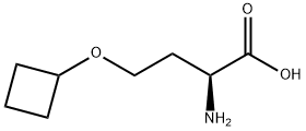 1500105-05-4 O-cyclobutyl-L-homoserine