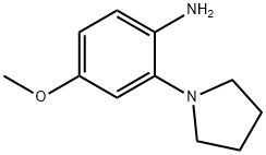 4-Methoxy-2-(pyrrolidin-1-yl)aniline 结构式
