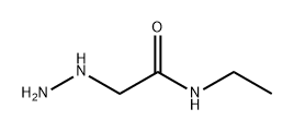 Acetamide, N-ethyl-2-hydrazinyl- Structure