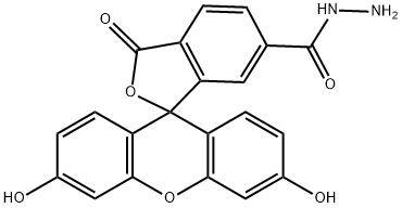 Spiro[isobenzofuran-1(3H),9'-[9H]xanthene]-6-carboxylic acid, 3',6'-dihydroxy-3-oxo-, hydrazide,151890-73-2,结构式