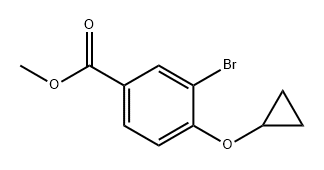 3-溴-4-环丙氧基苯甲酸甲酯 结构式