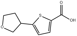 5-(oxolan-3-yl)thiophene-2-carboxylic acid,1595820-65-7,结构式