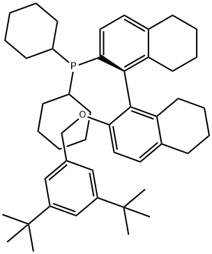 1614237-93-2 (1R)-2′-[[3,5-双(1,1-二甲基乙基)苯基]甲氧基]-5,5′,6,6′,7,7′,8,8′-八氢[1,1′-联萘]-2-基]二环己基膦