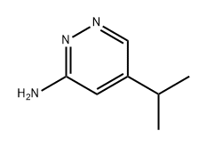 3-Pyridazinamine, 5-(1-methylethyl)- Structure