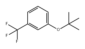 Benzene, 1-(1,1-dimethylethoxy)-3-(trifluoromethyl)-