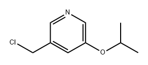 Pyridine, 3-(chloromethyl)-5-(1-methylethoxy)-|3-(氯甲基)-5-异丙氧基吡啶