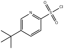 2-Pyridinesulfonyl chloride, 5-(1,1-dimethylethyl)- Struktur