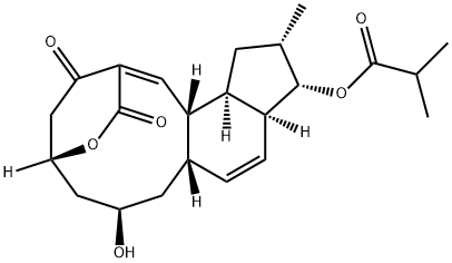 Propanoic acid, 2-methyl-, (5R,7R,8aS,10aS,11S,12S,13aR,13bS)-3,5,6,7,8,8a,10a,11,12,13,13a,13b-dodecahydro-7-hydroxy-12-methyl-3,15-dioxo-2,5-ethano(1Z)-indeno[4,5-e]oxecin-11-yl ester Struktur