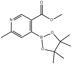 3-Pyridinecarboxylic acid, 6-methyl-4-(4,4,5,5-tetramethyl-1,3,2-dioxaborolan-2-yl)-, methyl ester Structure