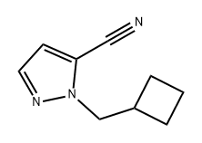 1H-Pyrazole-5-carbonitrile, 1-(cyclobutylmethyl)-,1779854-16-8,结构式