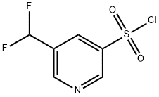 3-Pyridinesulfonyl chloride, 5-(difluoromethyl)- 化学構造式