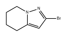 Pyrazolo[1,5-a]pyridine, 2-bromo-4,5,6,7-tetrahydro- Structure