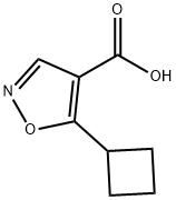 5-cyclobutyl-1,2-oxazole-4-carboxylic acid 化学構造式
