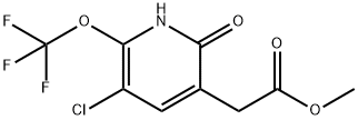 Methyl 3-chloro-6-hydroxy-2-(trifluoromethoxy)pyridine-5-acetate 结构式