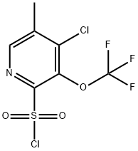 4-Chloro-5-methyl-3-(trifluoromethoxy)pyridine-2-sulfonyl chloride Structure