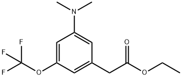 Ethyl 3-dimethylamino-5-(trifluoromethoxy)phenylacetate 结构式