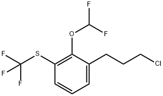 1-(3-Chloropropyl)-2-(difluoromethoxy)-3-(trifluoromethylthio)benzene Structure