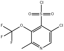 5-Chloro-2-methyl-3-(trifluoromethoxy)pyridine-4-sulfonyl chloride Struktur