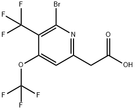 2-Bromo-4-(trifluoromethoxy)-3-(trifluoromethyl)pyridine-6-acetic acid 结构式