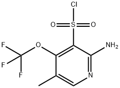 2-Amino-5-methyl-4-(trifluoromethoxy)pyridine-3-sulfonyl chloride|