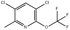 3,5-Dichloro-2-methyl-6-(trifluoromethoxy)pyridine 结构式