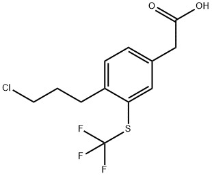 4-(3-Chloropropyl)-3-(trifluoromethylthio)phenylacetic acid 结构式