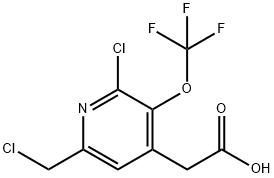 2-Chloro-6-(chloromethyl)-3-(trifluoromethoxy)pyridine-4-acetic acid Struktur