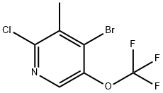 4-Bromo-2-chloro-3-methyl-5-(trifluoromethoxy)pyridine,1804375-62-9,结构式