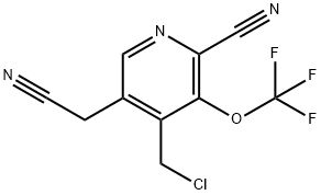 4-(Chloromethyl)-2-cyano-3-(trifluoromethoxy)pyridine-5-acetonitrile,1804449-24-8,结构式