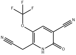 3-Cyano-2-hydroxy-5-(trifluoromethoxy)pyridine-6-acetonitrile|