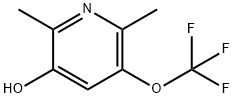 2,6-Dimethyl-3-hydroxy-5-(trifluoromethoxy)pyridine Structure