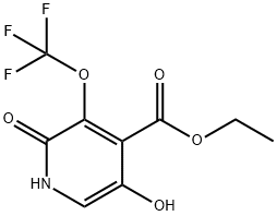 Ethyl 2,5-dihydroxy-3-(trifluoromethoxy)pyridine-4-carboxylate Structure