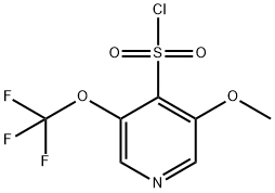 3-Methoxy-5-(trifluoromethoxy)pyridine-4-sulfonyl chloride Structure