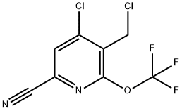 4-Chloro-3-(chloromethyl)-6-cyano-2-(trifluoromethoxy)pyridine|