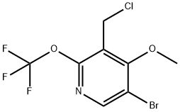 5-Bromo-3-(chloromethyl)-4-methoxy-2-(trifluoromethoxy)pyridine,1804565-75-0,结构式