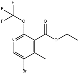 Ethyl 5-bromo-4-methyl-2-(trifluoromethoxy)pyridine-3-carboxylate 结构式