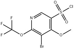 3-Bromo-4-methoxy-2-(trifluoromethoxy)pyridine-5-sulfonyl chloride 结构式