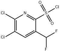2,3-Dichloro-5-(difluoromethyl)pyridine-6-sulfonyl chloride,1805006-00-1,结构式