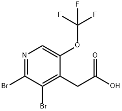 2,3-Dibromo-5-(trifluoromethoxy)pyridine-4-acetic acid Structure