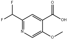 4-Pyridinecarboxylic acid, 2-(difluoromethyl)-5-methoxy- Struktur