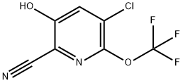 5-Chloro-2-cyano-3-hydroxy-6-(trifluoromethoxy)pyridine,1806077-11-1,结构式