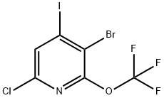 3-Bromo-6-chloro-4-iodo-2-(trifluoromethoxy)pyridine 结构式