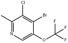 1806172-00-8 4-Bromo-3-chloro-2-methyl-5-(trifluoromethoxy)pyridine