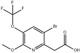 5-Bromo-2-methoxy-3-(trifluoromethoxy)pyridine-6-acetic acid 结构式