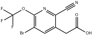 3-Bromo-6-cyano-2-(trifluoromethoxy)pyridine-5-acetic acid,1806227-67-7,结构式