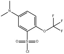 5-Dimethylamino-2-(trifluoromethoxy)benzenesulfonylchloride Struktur