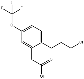 2-(3-Chloropropyl)-5-(trifluoromethoxy)phenylacetic acid Structure