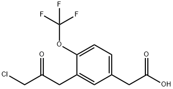 1806701-08-5 3-(3-Chloro-2-oxopropyl)-4-(trifluoromethoxy)phenylacetic acid