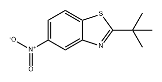 Benzothiazole, 2-(1,1-dimethylethyl)-5-nitro- 结构式
